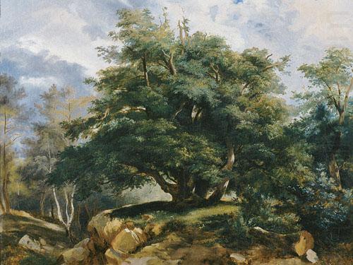 Jules Coignet The Old Oak in the Forest of Fontainebleau china oil painting image